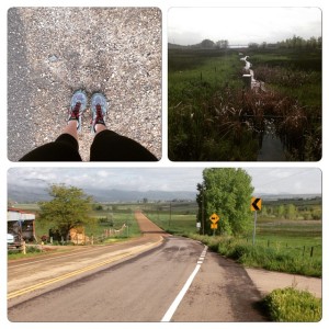 Views from today's long run, so green in Boulder #IMTraining #IMCanada