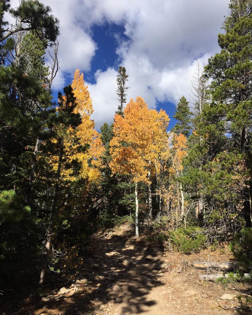 My favorite time of the year and one of my favorite trails. I ❤️ Colorado in the fall! #hike #fall #colorado