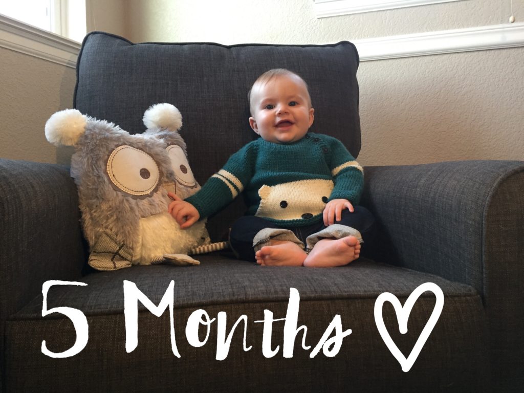 5 Months, Baby Boy, Monthly Picture 