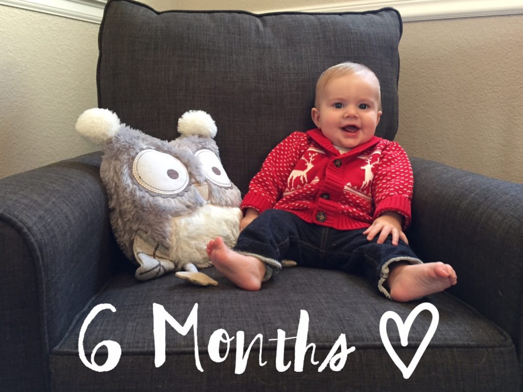6 month old baby